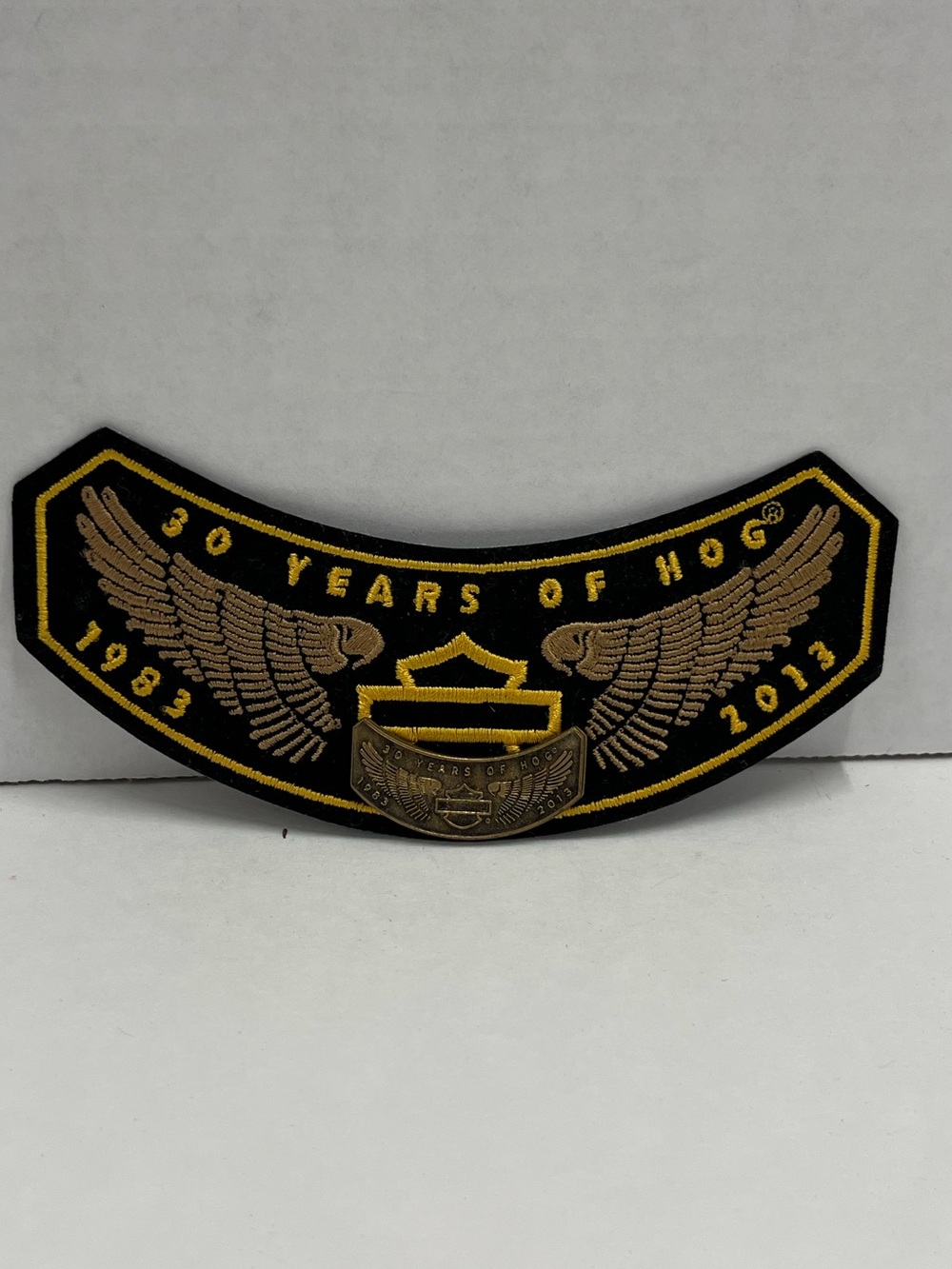 Harley Owners Group 2013 patch and pin